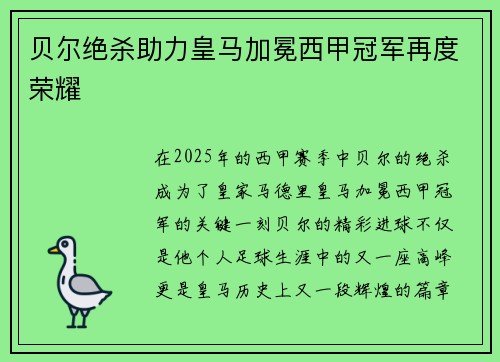 贝尔绝杀助力皇马加冕西甲冠军再度荣耀